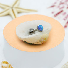 Piercing Biżuteria wewnętrznie Tytanowe szpilki do ust Labret Nose Stud z cyrkonią
