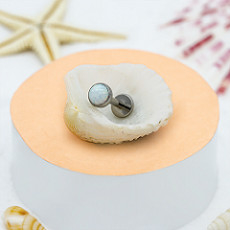 Piercing Biżuteria wewnętrznie Tytanowe szpilki do ust Labret Nose Stud z cyrkonią